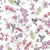 DUTCH WALLCOVERINGS Papier peint Colibris Rose