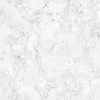 DUTCH WALLCOVERINGS Papier peint Motif de marbre Gris