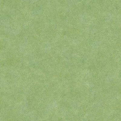 Evergreen Papier peint Leaf Veins Vert 1 Evergreen Papier peint Leaf Veins Vert