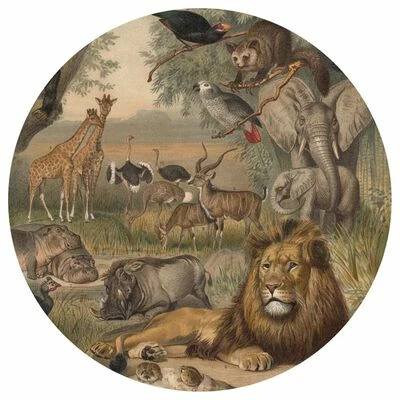 WallArt Papier peint cercle Animals of Africa 190 cm 1 WallArt Papier peint cercle Animals of Africa 190 cm