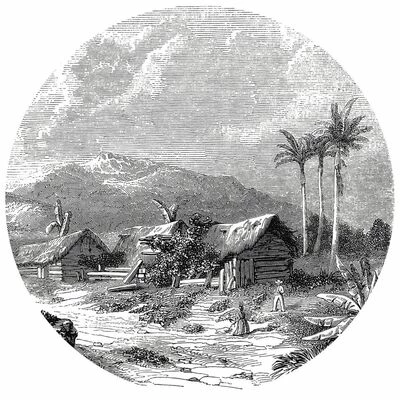 WallArt Papier peint cercle Landscape of Guadeloupe 190 cm 1 WallArt Papier peint cercle Landscape of Guadeloupe 190 cm