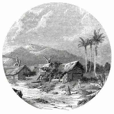 WallArt Papier peint cercle Landscape of Guadeloupe 142,5 cm 1 WallArt Papier peint cercle Landscape of Guadeloupe 142,5 cm