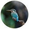 WallArt Papier peint cercle The Kingfisher 190 cm