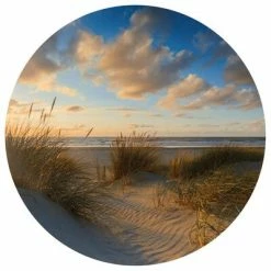 WallArt Papier peint cercle Beachlife 142,5 cm
