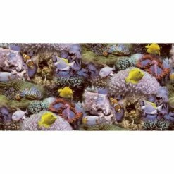 Good Vibes Papier peint Coral and Tropical Fish Jaune et violet -Papiers peints Soldes image 3 440437