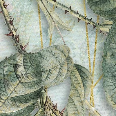 Komar Papier peint photo La Rosa 200x250 cm 4 Komar Papier peint photo La Rosa 200x250 cm – Image 4