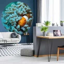 WallArt Papier peint cercle Nemo the Anemonefish 190 cm -Papiers peints Soldes image 4 440373