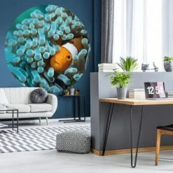 WallArt Papier peint cercle Nemo the Anemonefish 142,5 cm -Papiers peints Soldes image 4 440374