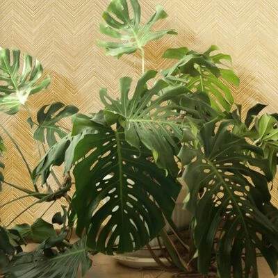 Topchic Papier peint Herringbone Beige 5 Topchic Papier peint Herringbone Beige – Image 5