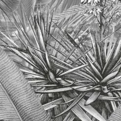 Komar Papier peint photo Amazonia Noir et blanc 400x250 cm -Papiers peints Soldes image 6 434229